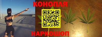 каннабис Будённовск
