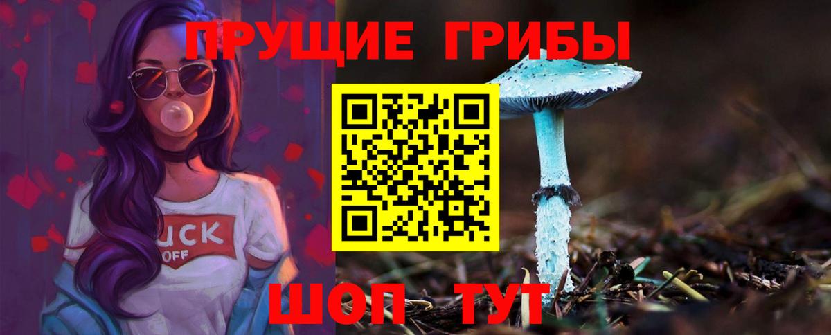 Азов  Галлюциногенные грибы ЛСД  Псилоцибиновые грибы Magic Shrooms  Вход с VPN 