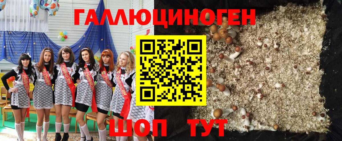 Галлюциногенные грибы прущие грибы Азов